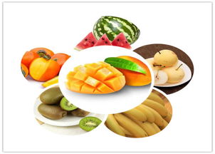 中醫(yī)養(yǎng)生保健 守護(hù)健康，傳承智慧